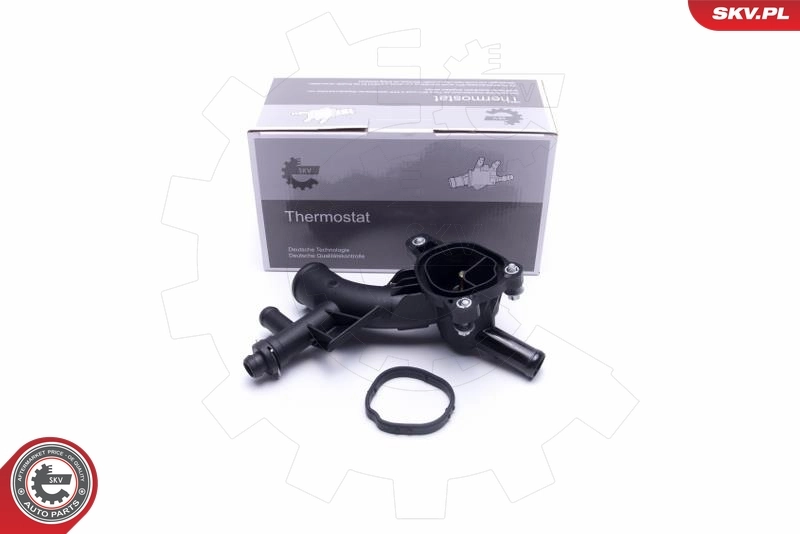 Thermostat, coolant